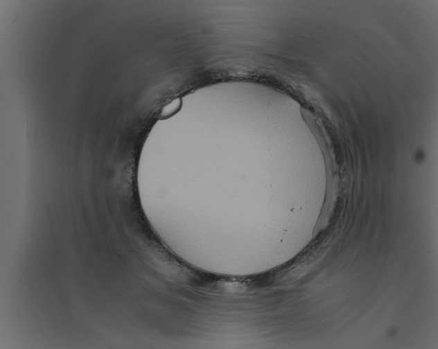 X0000094220509200711241724