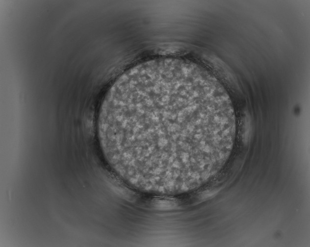 X0000094220510200711241724