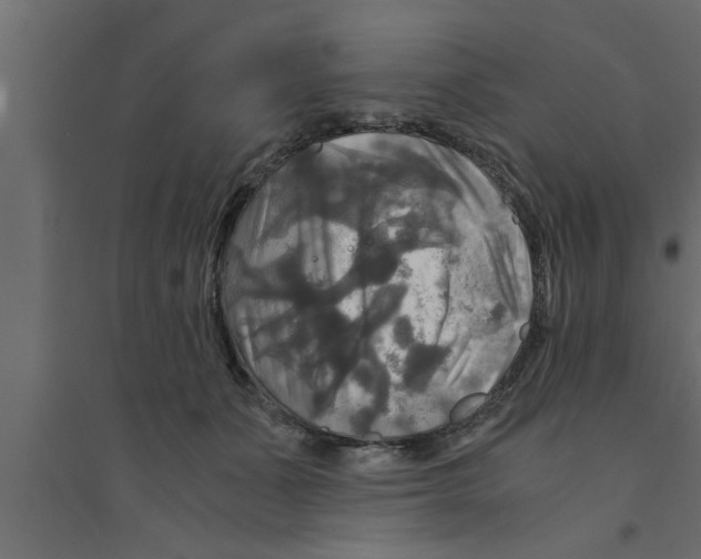 X0000094220511200711241724