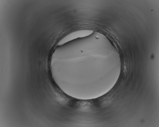 X0000094220512200711241724