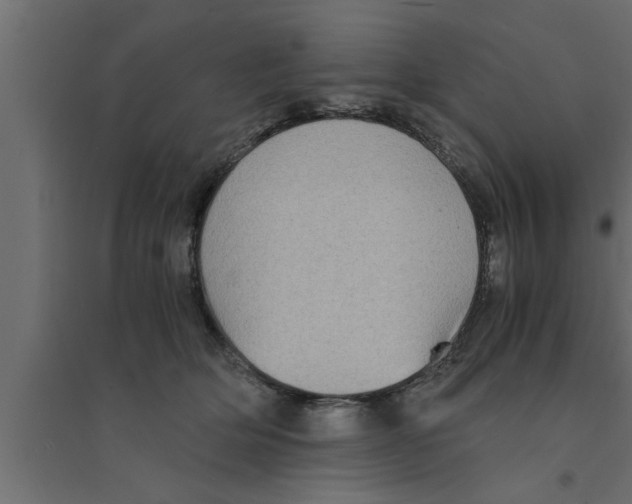 X0000094220514200711241724