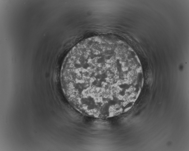 X0000094220515200711241724