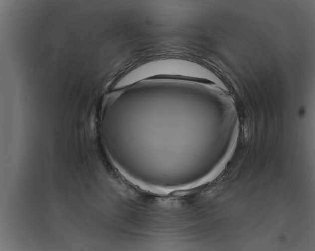 X0000094220520200711241724