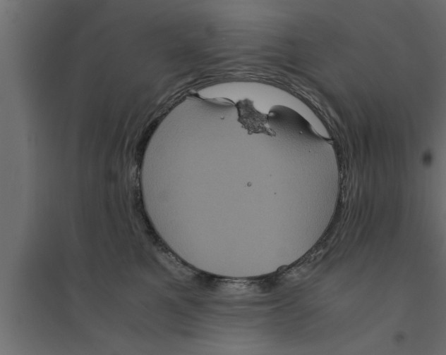 X0000094220521200711241724