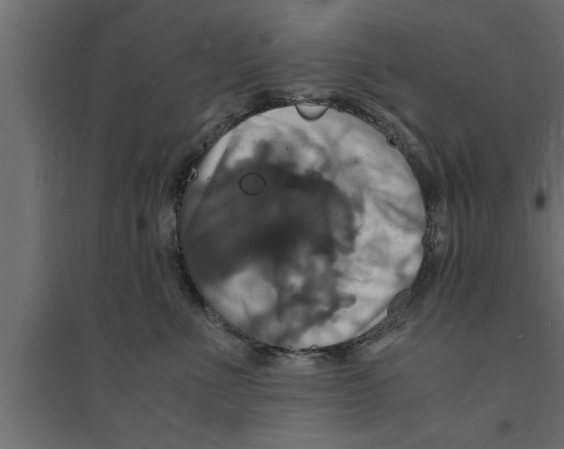 X0000094220523200711241724