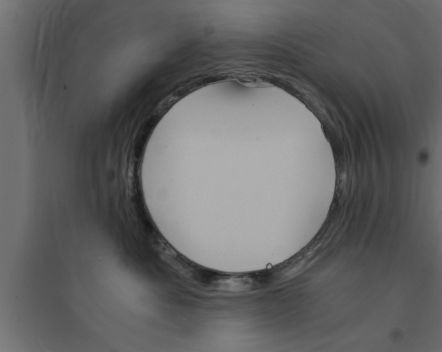 X0000094220525200711241724