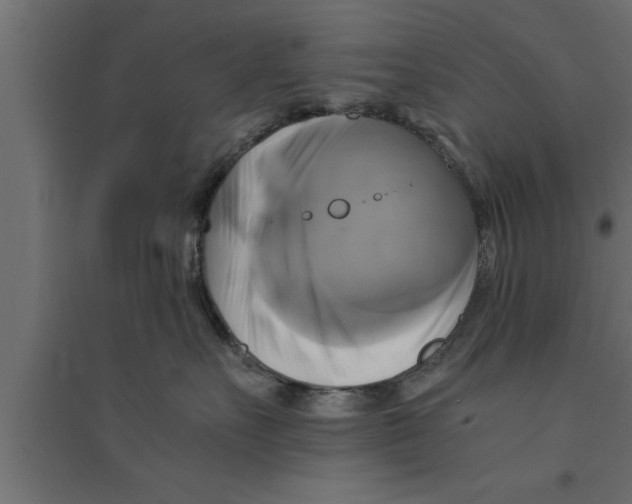 X0000094220527200711241724