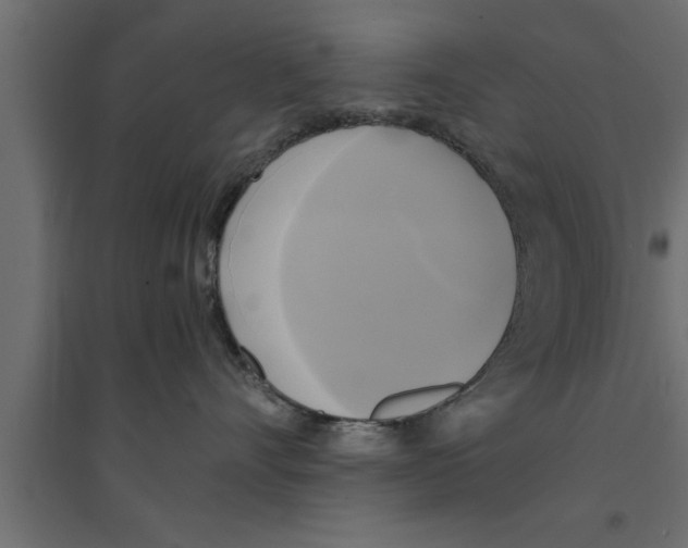 X0000094220528200711241724