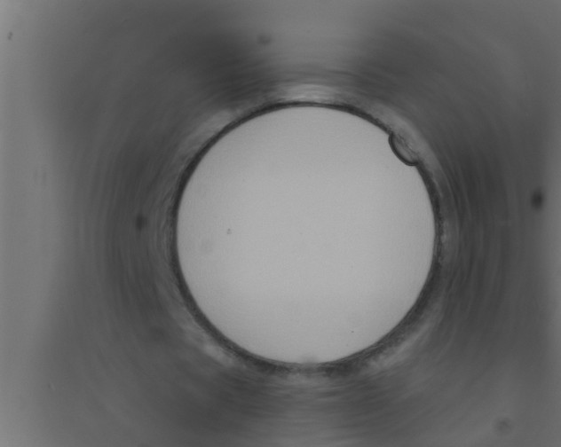 X0000094220529200711241724