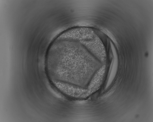 X0000094220530200711241724