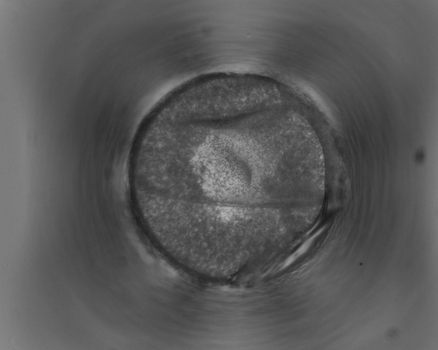 X0000094220532200711241724