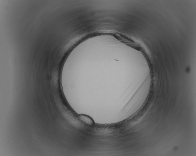 X0000094220533200711241724