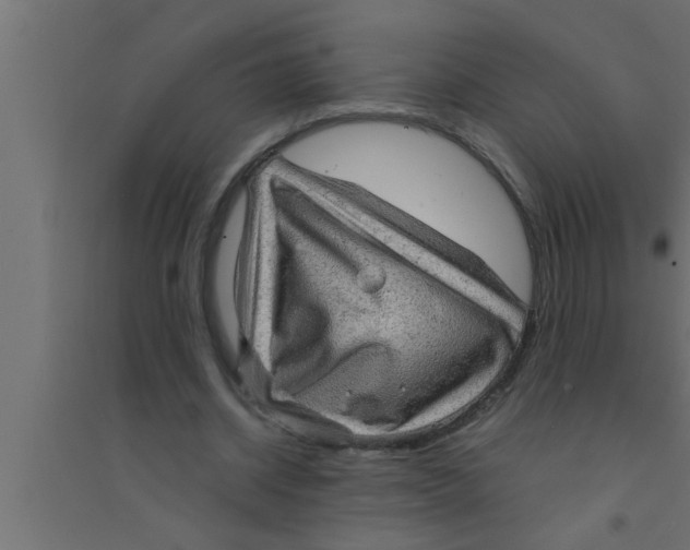 X0000094220534200711241724