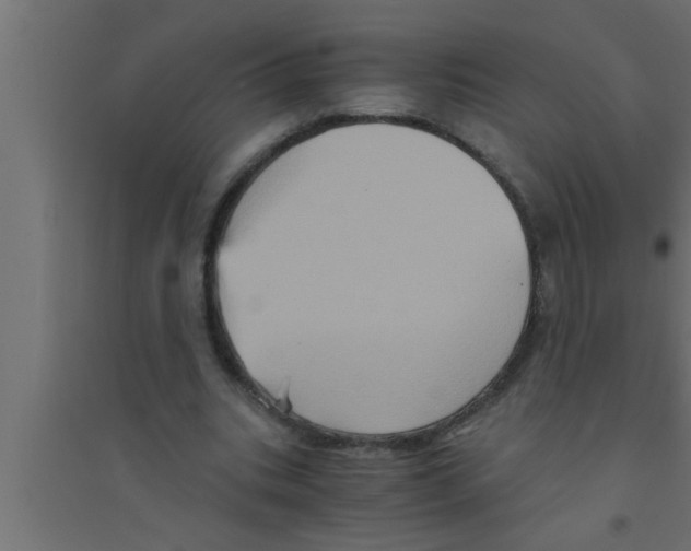 X0000094220535200711241724