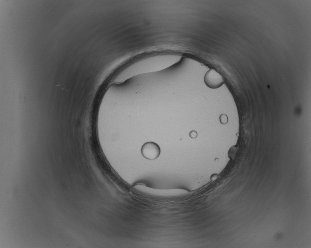 X0000094220536200711241724