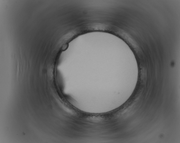 X0000094220537200711241724