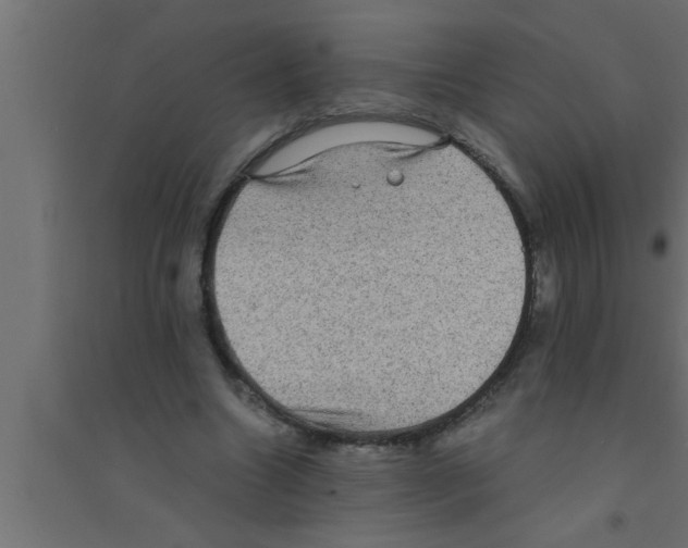 X0000094220538200711241724