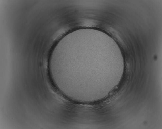 X0000094220539200711241724