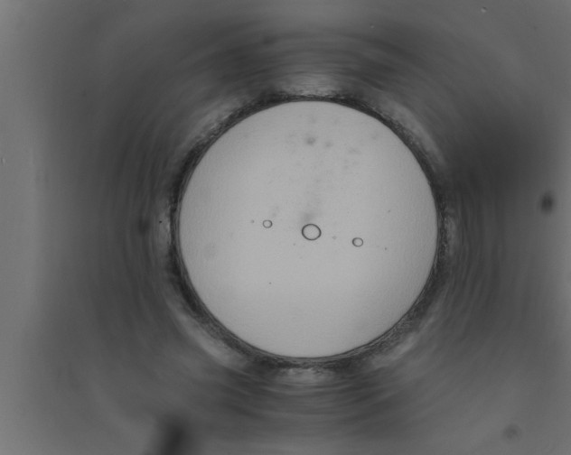 X0000094220541200711241724