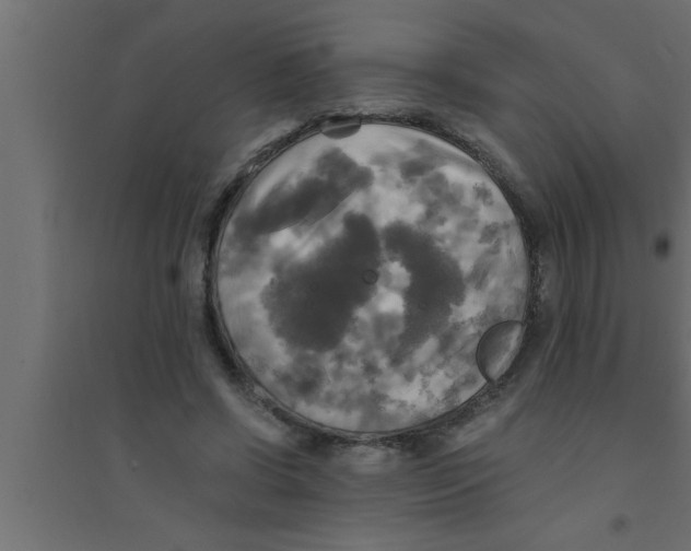 X0000094220542200711241724