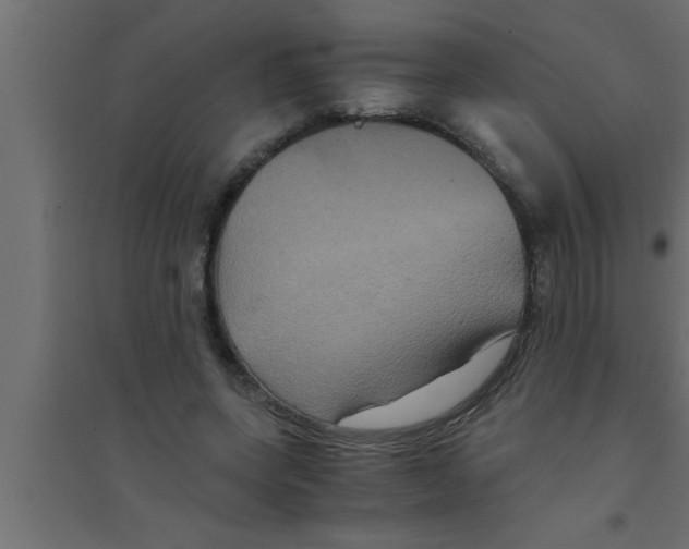 X0000094220543200711241724