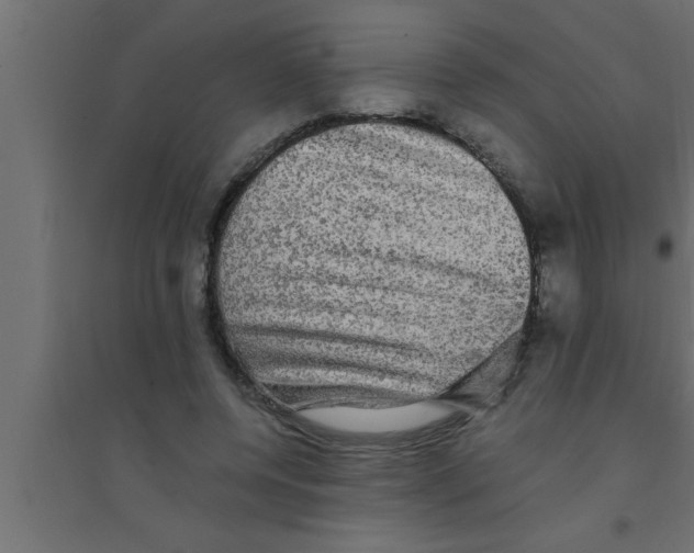 X0000094220544200711241724