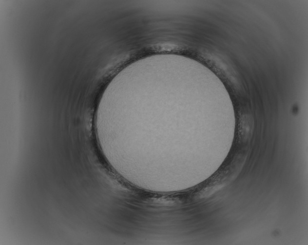 X0000094220545200711241724