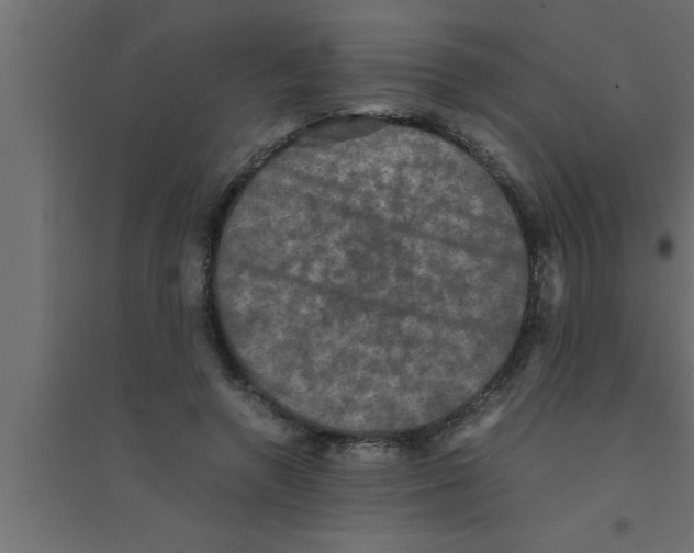 X0000094220546200711241724