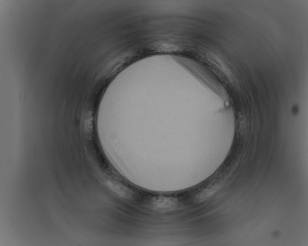 X0000094220549200711241724