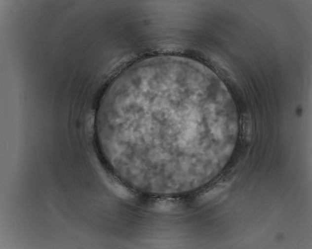 X0000094220550200711241724