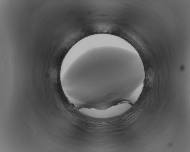 X0000094220551200711241724