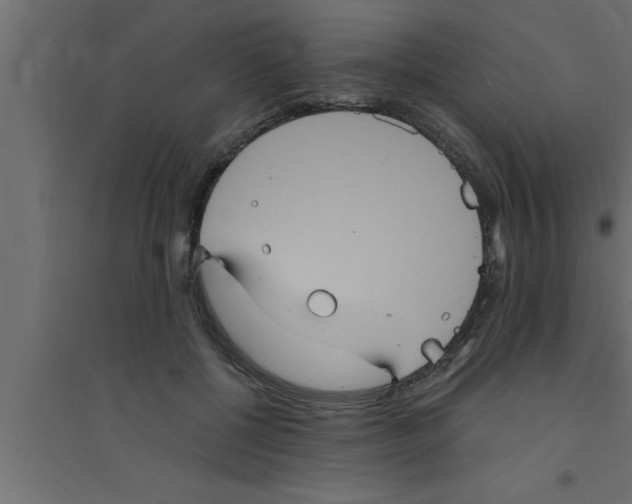 X0000094220552200711241724