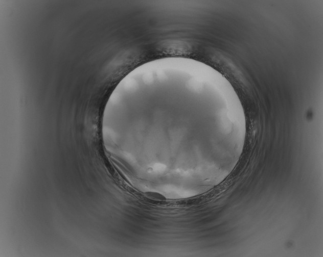 X0000094220553200711241724