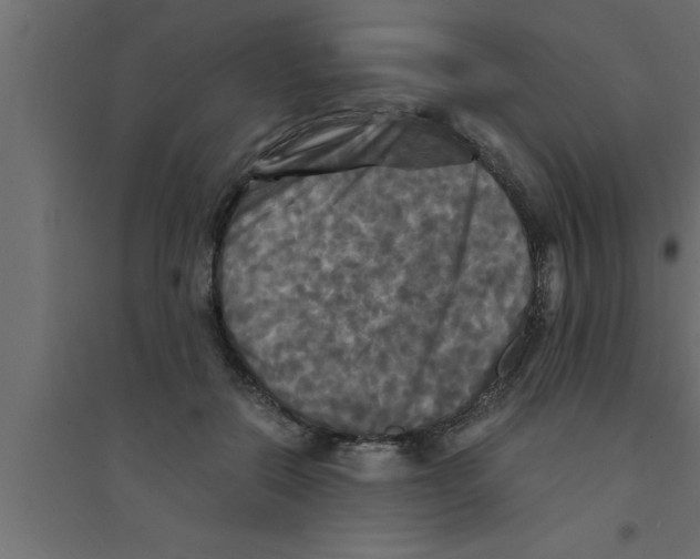 X0000094220554200711241724