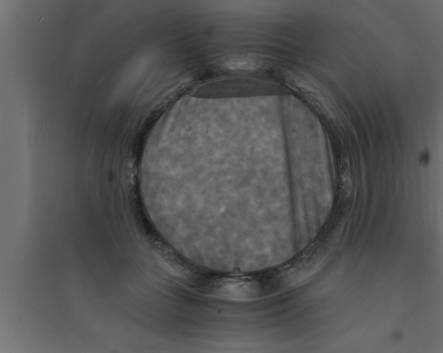 X0000094220555200711241724