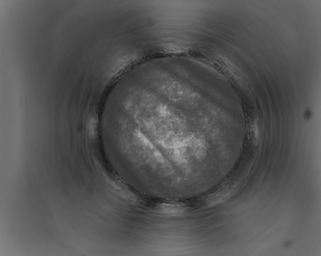 X0000094220556200711241724