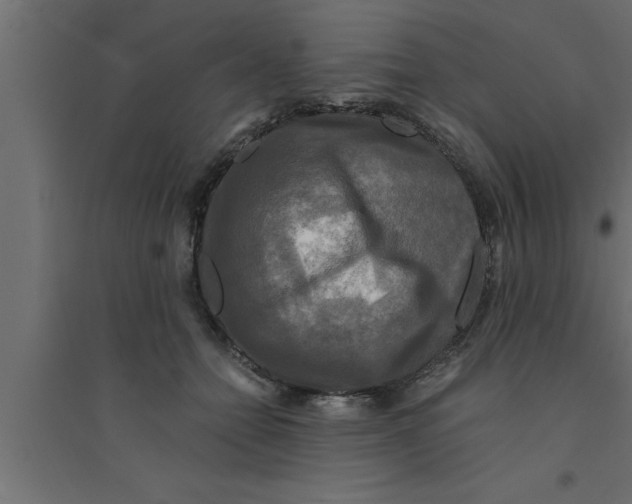 X0000094220558200711241724