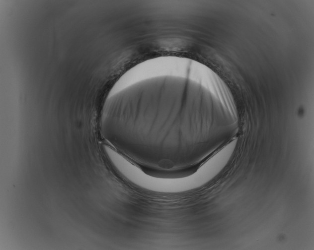 X0000094220559200711241724