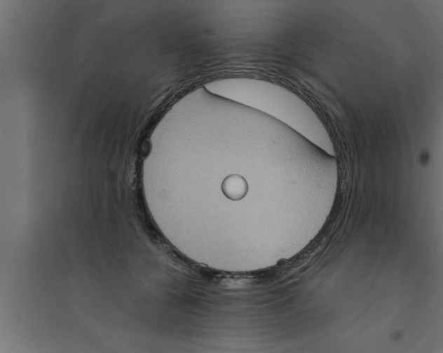 X0000094220560200711241724