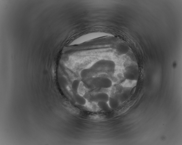 X0000094220561200711241724