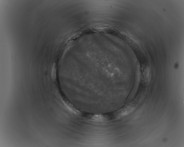 X0000094220562200711241724