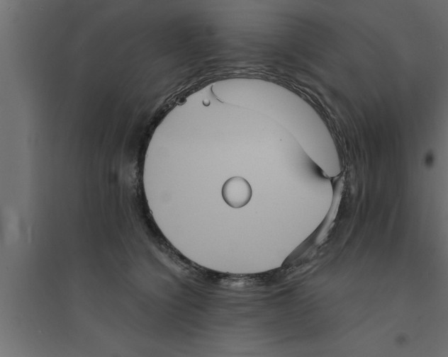 X0000094220564200711241724