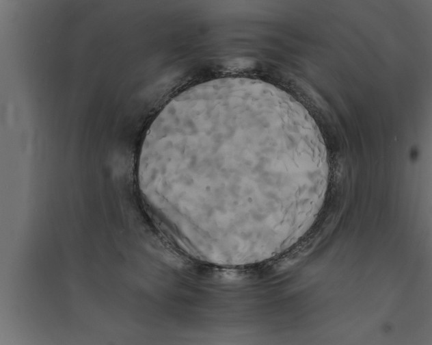 X0000094220565200711241724