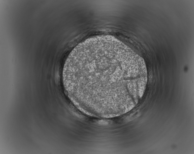 X0000094220566200711241724