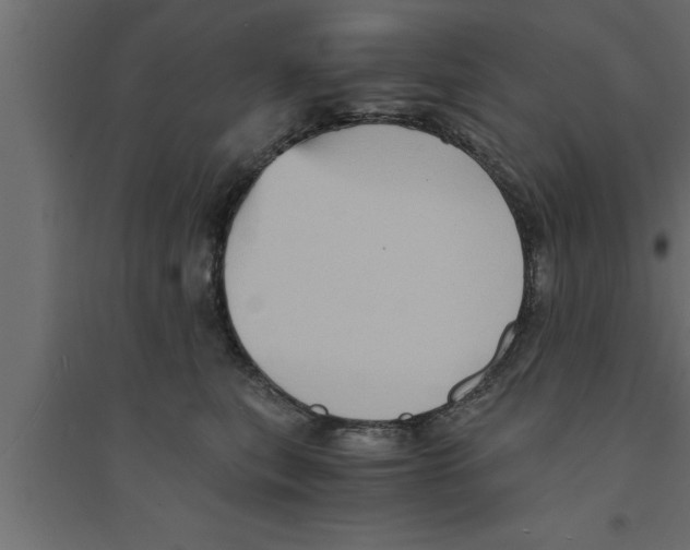 X0000094220567200711241724