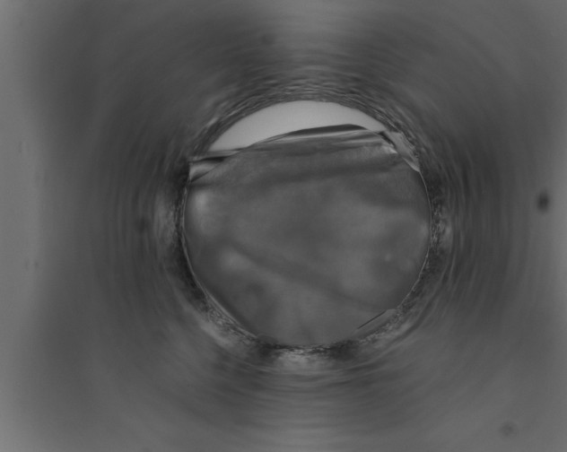 X0000094220568200711241724