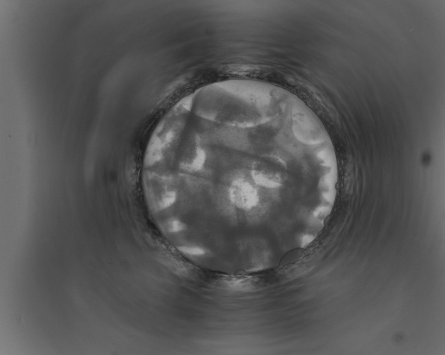 X0000094220569200711241724