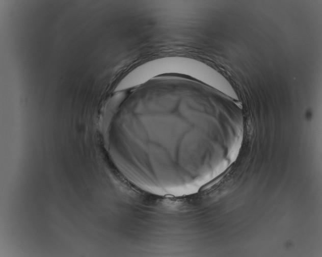 X0000094220570200711241724