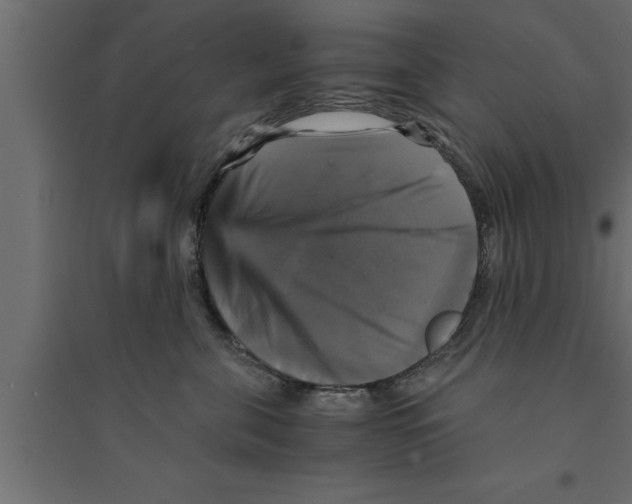 X0000094220571200711241724