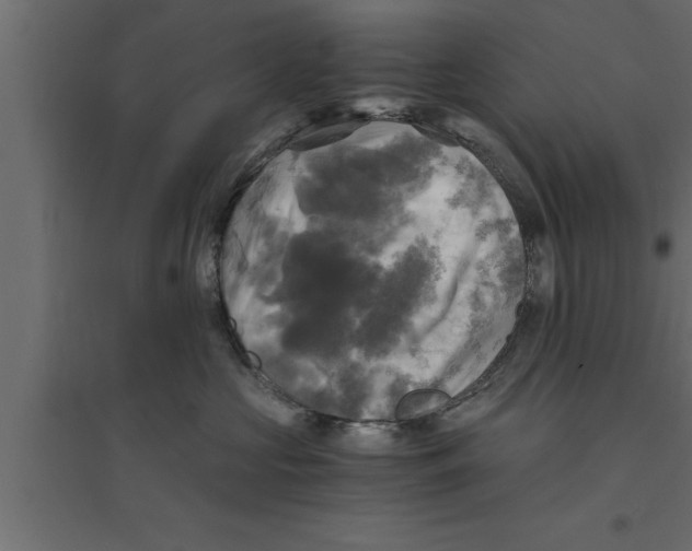 X0000094220573200711241724